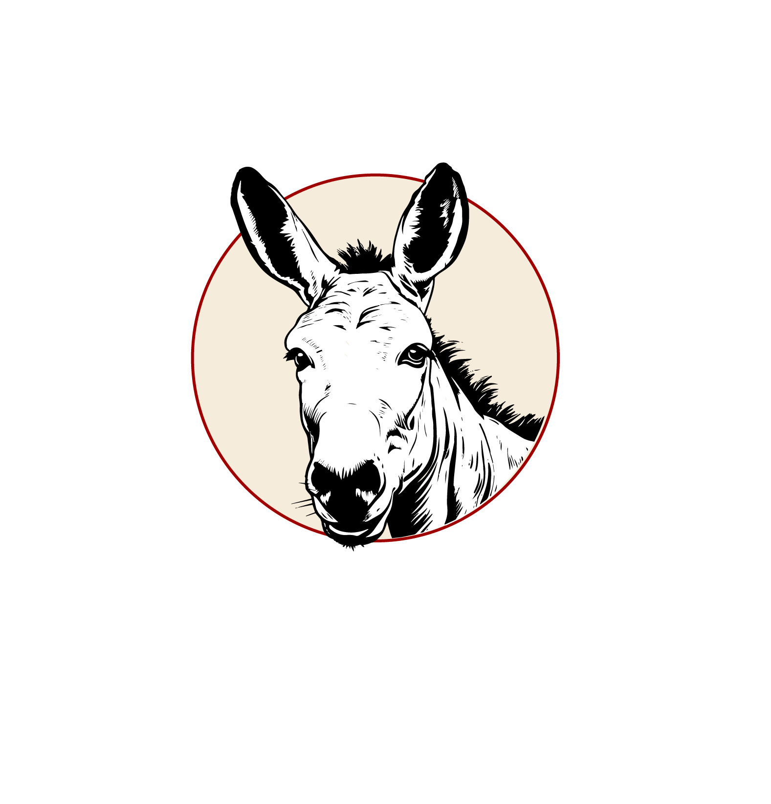 Donkie
